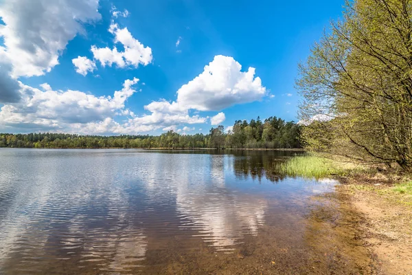Paesaggio naturale selvaggio sul lago con cielo blu nella giornata di sole, scenario di inizio primavera con piante in crescita — Foto Stock