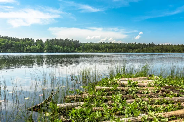 Natura Selvaggia Paesaggio Sul Lago Nella Foresta Con Cielo Blu — Foto Stock