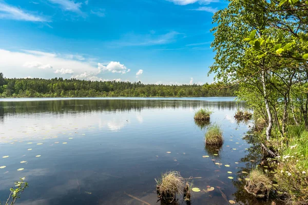 Vild natur, landskap över sjön i skogen med blå himmel i solig dag, sommar landskap i naturlig miljö — Stockfoto