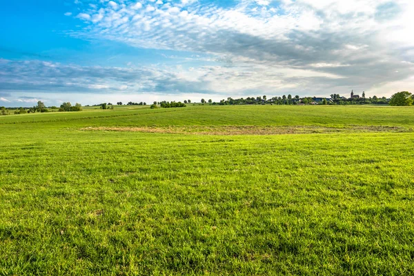 Grüne Wiese und blauer Himmel über Grasfeld, ländliche Landschaft — Stockfoto