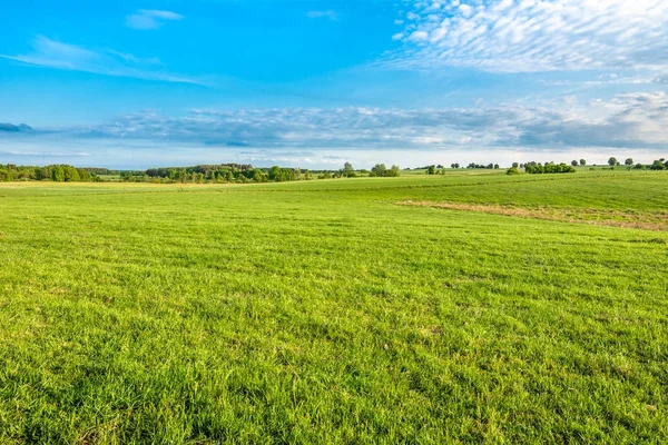 Campo verde con hierba verde fresca y cielo azul, campo lan —  Fotos de Stock