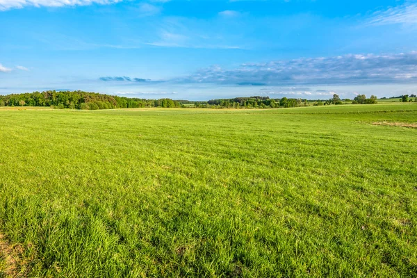 Campo verde de hierba en primavera, paisaje — Foto de Stock