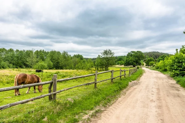 Estrada rural polaca e fazenda de cavalos no verão, paisagem — Fotografia de Stock