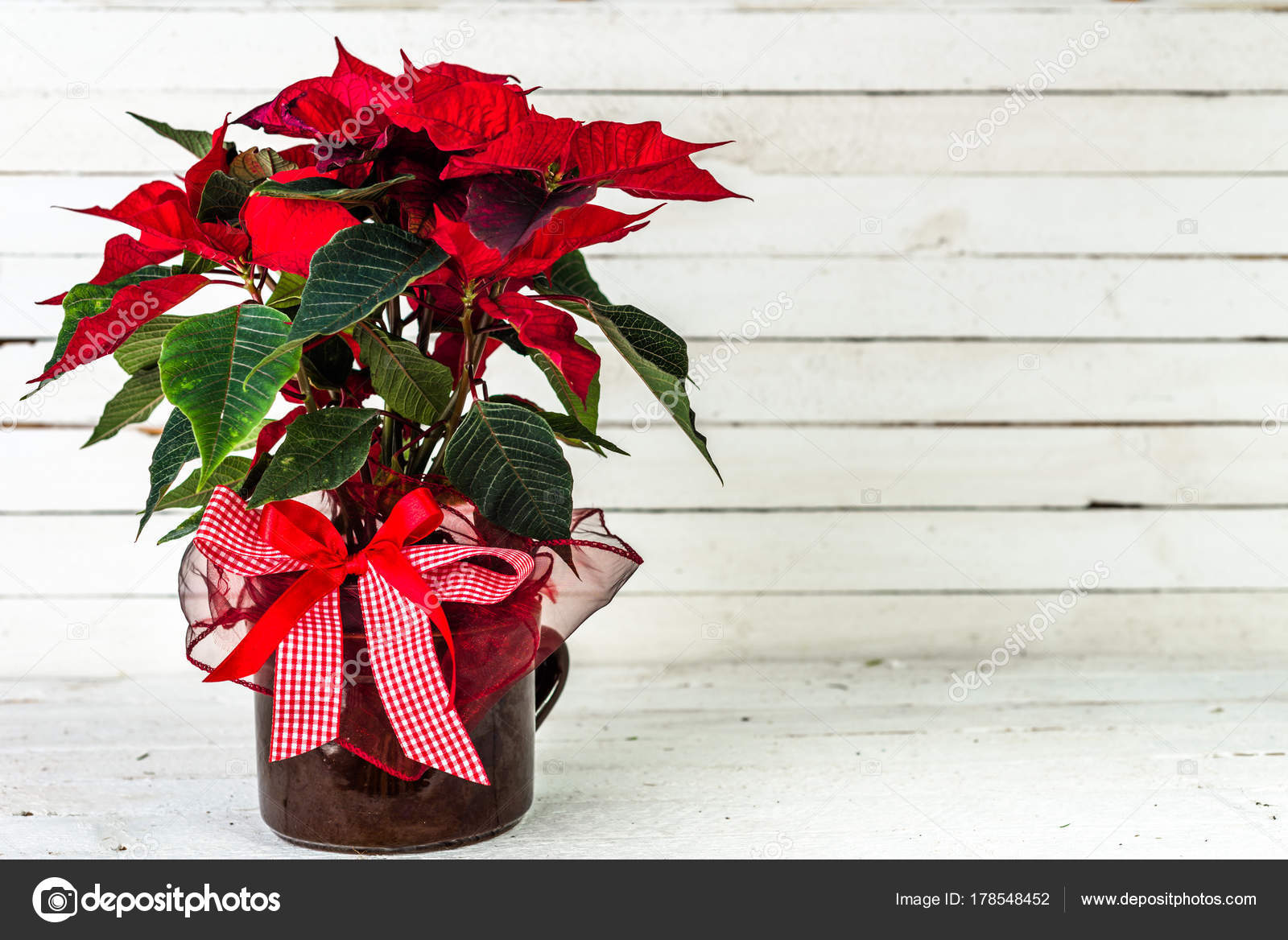 Roten Weihnachtsstern Weihnachten Blume Tisch Dekoration Auf