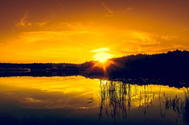 Gölde yaz peyzaj gün batımı ile. Güzel turuncu sundown veya gündoğumu orman ve huzurlu su güneş ışığın yansıması ile sahne doğada sıcak.