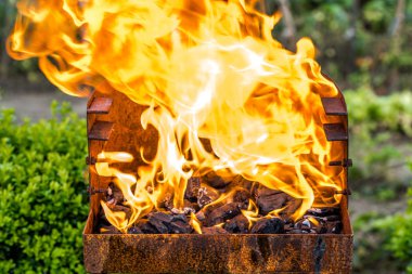 Ve yangın, bahçede ızgara yanan kömür ızgara alev Barbekü, piknik dışarıda çimenlerin üzerinde yaz