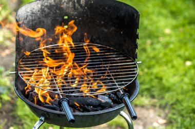 Mangal yangın, kömür ve çim, açık havada Bahçe, yaz pikniğe ızgara ızgara