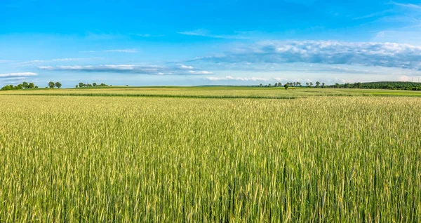 Oblasti Obilovin Venkovské Krajiny Zemědělství Polsku — Stock fotografie