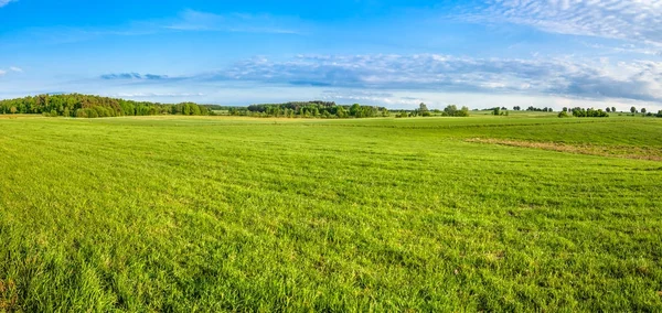 Panorama Łąka Trawy Krajobraz Wiejski Wiosna — Zdjęcie stockowe