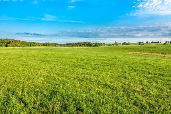 Campo Verde Cielo Azul Hierba Primavera Paisaje —  Fotos de Stock