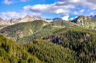 Tatra Dağları aralığı ve orman, havadan görünümü