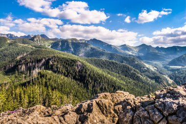 Tatra Dağları aralığı ve orman, havadan görünümü