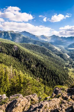 Tatra Dağları aralığı ve orman, havadan görünümü