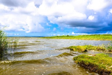 Büyük göl, kıyı ile çim sahası, yeşil bahar peyzaj, düşük açılı görünüş