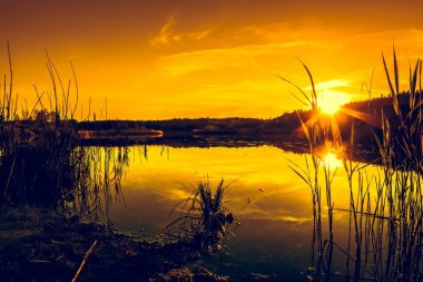 Gölde yaz peyzaj gün batımı ile. Güzel turuncu sundown veya gündoğumu orman ve huzurlu su güneş ışığın yansıması ile sahne doğada sıcak.