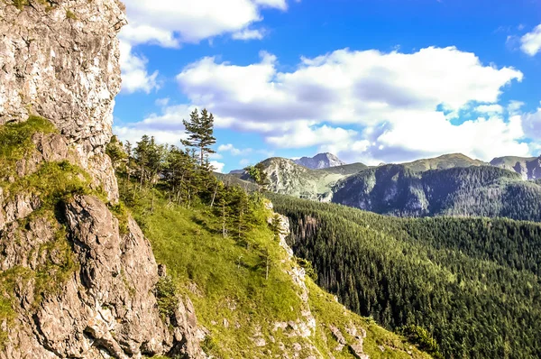 Tatry Widok Las Góry Skały — Zdjęcie stockowe