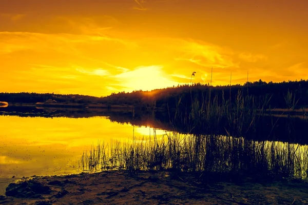 Paisaje Verano Con Puesta Sol Lago Hermosa Puesta Sol Naranja — Foto de Stock