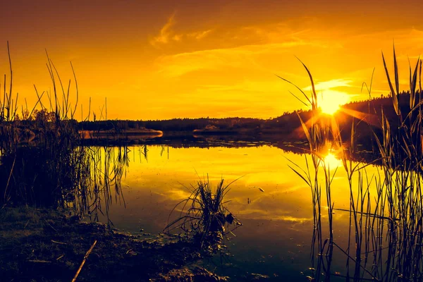 Paesaggio Estivo Con Tramonto Sul Lago Splendido Tramonto Arancione Alba — Foto Stock