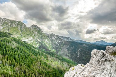 Dağlar, Bahar manzara Panoraması dağ çam ormanı kaplı.