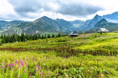 Pastoral dağ arazi kırsal sahne, yeşil vadi, yaz manzara kulübede dağ ile