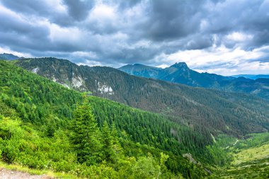 Yeşil dağ orman, tepeler ve ağaçlar yukarıdan, Tatra Dağları, manzara panoramik manzara