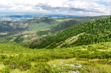 Yeşil dağ orman, tepeler ve çam ağaçları yukarıdan, Tatra Dağları, manzara panoramik manzara