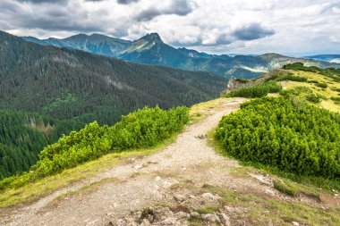 Dağ ridge kaplı ormanda Tatra Dağları ve iz hiking, summer, manzara seyahat