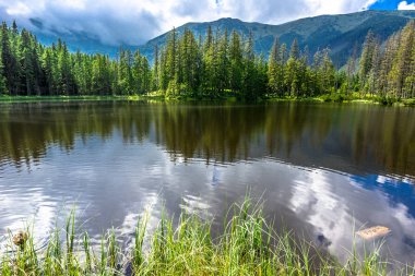 Polonya, yaz manzara orman, Tatra Dağları Milli Parkı içinde dağ gölü