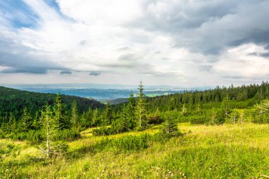 Yeşil dağlar, Vadisi ile orman ve çayır ile bahar çimen, Karpatlar, Tatra Milli Parkı Polonya peyzaj
