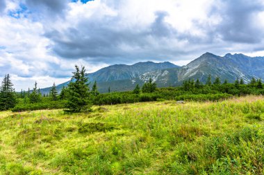 Yeşil peyzaj çim, ağaçlar ve dağlar üzerinde gökyüzü arka plan, Karpatlar, Tatra Milli Parkı Polonya