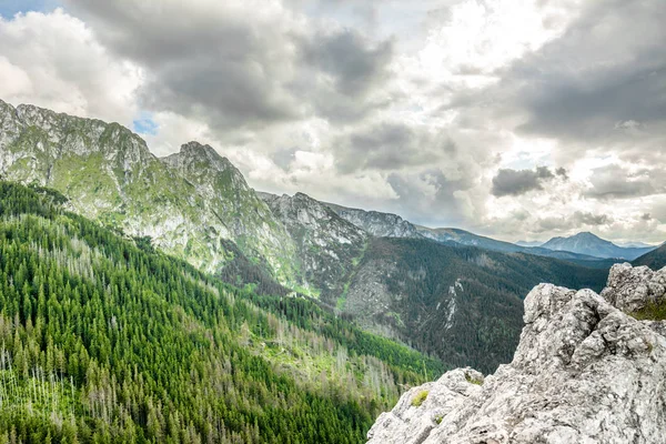 Panorama Gór Wiosnę Krajobraz Pasmo Górskie Pokryte Sosnowym Lesie — Zdjęcie stockowe