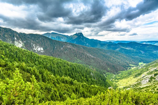 Yeşil Orman Dağlar Panorama Gökyüzünde Dağın Tepesinde Ile — Stok fotoğraf