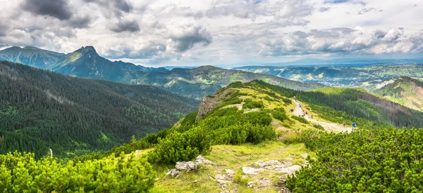 Panorama Góry Wędrówki Szlakiem Podróży Krajobraz Karpatach — Zdjęcie stockowe