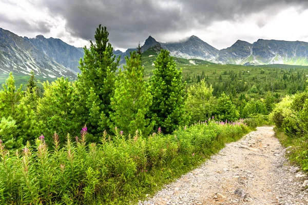 Landscape of mountain hiking trail in nature, road in wilderness with green mountains, panoramic view