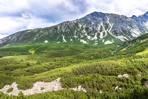 Yeşil orman ve dağlar, panoramik manzara dağ Vadisi