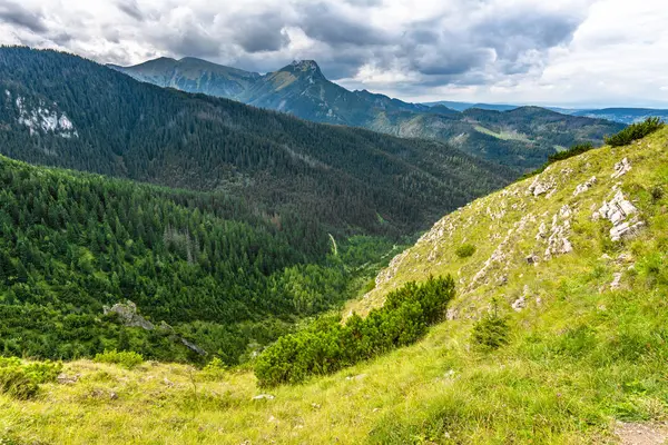 Горный хребет, панорамный вид на горы и лес, вид на зеленый ландшафт холма с деревьями и травой — стоковое фото