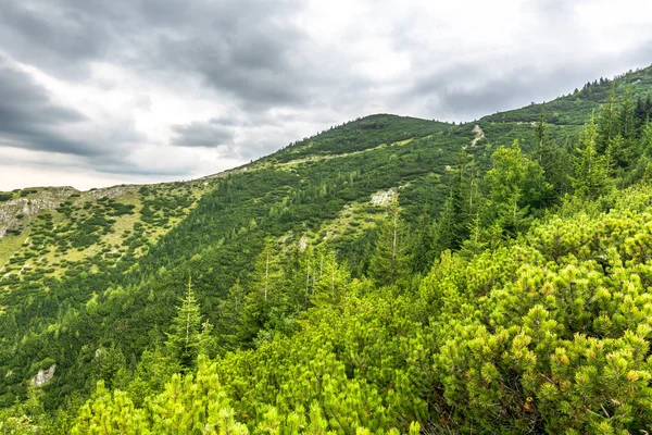 山の尾根 草と緑の丘の上にビューとポーランドの山の森の風景 Jaworzynka の谷からの眺め — ストック写真