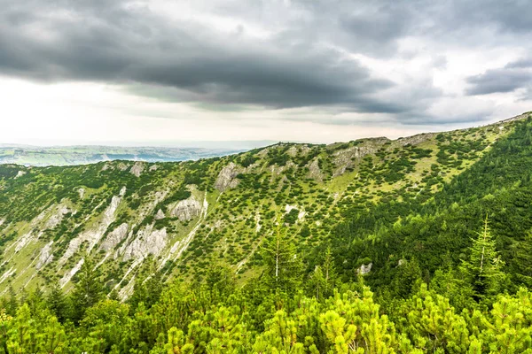 Vårens gröna landskapet i bergsryggen med skog, berg panoramautsikt — Stockfoto