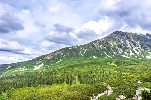 Зеленый Лес Горах Панорамный Пейзаж Весной — стоковое фото