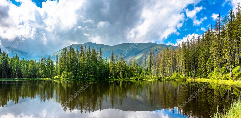 Mountain lake in the forest, Tatra Mountains, National Park in Poland, summer landscape
