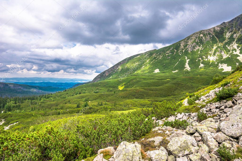 Aerial view of forest in mountains. Landscape of green hills and valley, mountain panoramic vista