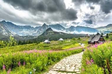 Zakopane, Polonya - 16 Ağustos 2016: İnsanlar Tatra Dağları, yaz manzara dağ yürüyüş izinde