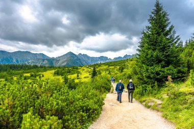 Zakopane, Polonya - 16 Ağustos 2016: dağlar'da yürüyüş insanlar, yaşam tarzı ve açık havada aktif bir tatil seyahat