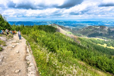 Zakopane, Polonya - 16 Ağustos 2016: Tur Tatra Dağları trekking iz, hiking üzerinde yürüyüşçü ile seyahat ve Turizm arka plan