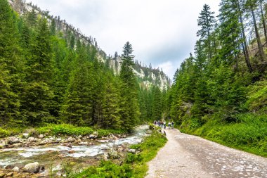Zakopane, Polonya - 15 Ağustos 2016: iz Tatra Dağları dağ Nehri boyunca hiking üzerinde dağ yürüyüşçüler