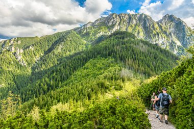Zakopane, Polonya - 14 Ağustos 2016: Grup içinde Tatra Dağları, yaz manzara, Polonya doğa yürüyüşü hiking trail, üzerinde yürüyüşçü