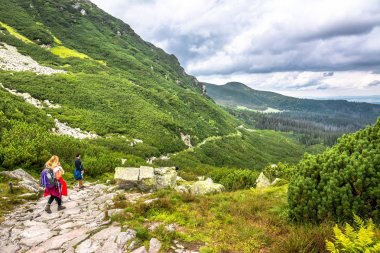 Zakopane, Polonya - 16 Ağustos 2016: dağ izi millet, yürüyüş dağlar, peyzaj, yukarıdan yeşil orman panoramik görünüm