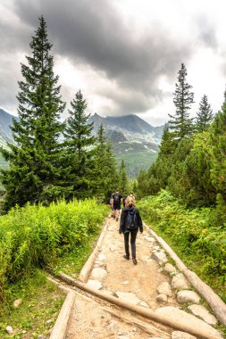 Zakopane, Polonya - 16 Ağustos 2016: Bir grup insan tur yürüyüşçü izinde, dağ manzarası dağlarda, hiking