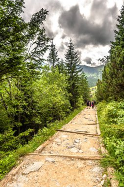 Zakopane, Polonya - 16 Ağustos 2016: Grup dağlar veya parkur üzerinde hiking trail, dağ manzarası, insanların gözlerindeki