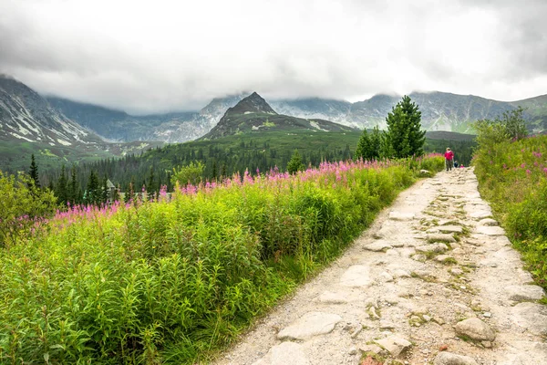 Zakopane, Lengyelország - augusztus 16, 2016: Hegyi túrázók vagy embercsoport, a turistaút-hegység, virágok a réten, zöld tavaszi táj — Stock Fotó